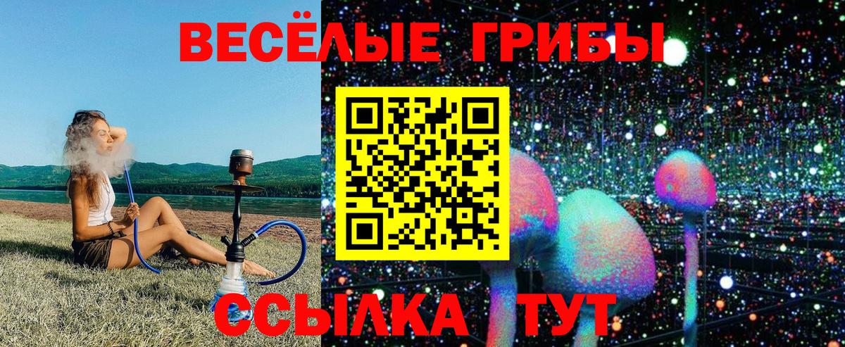 Псилоцибиновые грибы Psilocybe Нефтекумск