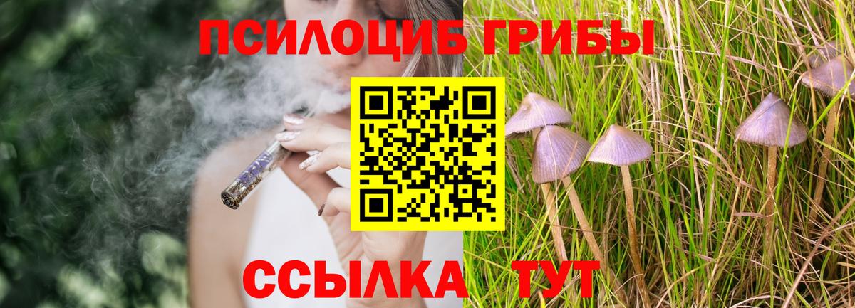 Псилоцибиновые грибы GOLDEN TEACHER  Вход с VPN  Нефтекумск 